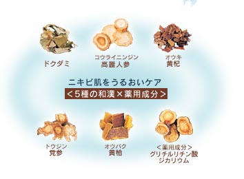 �a���G�L�X�Ńj�L�r�P�A